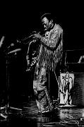 Miles Davis 4 de Doelen Rotterdam 11-1969.1422-14